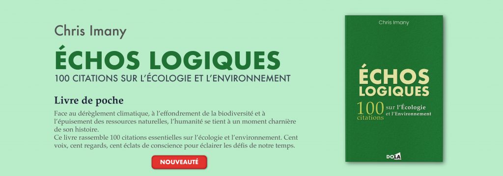 Bannière echos logiques